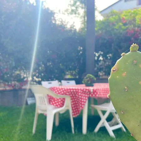 Apartment Garden House